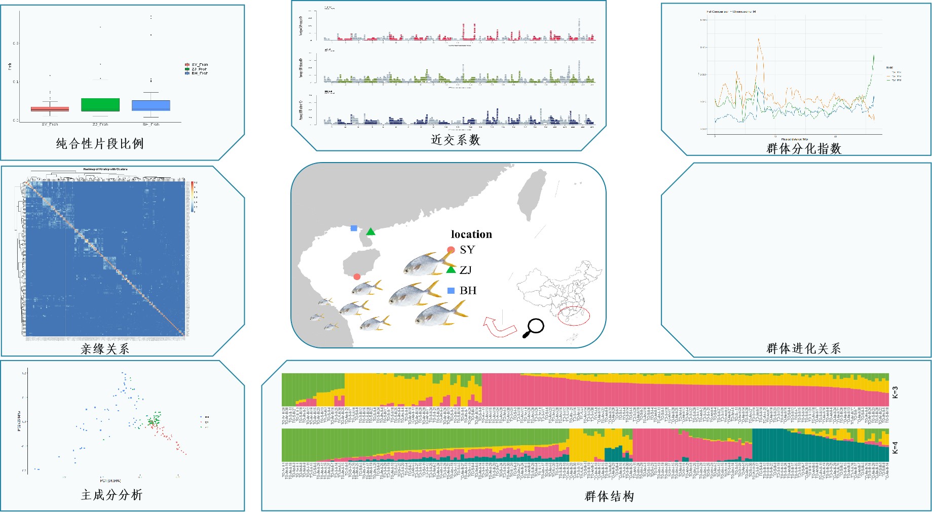 群体结构分析和遗传多样性