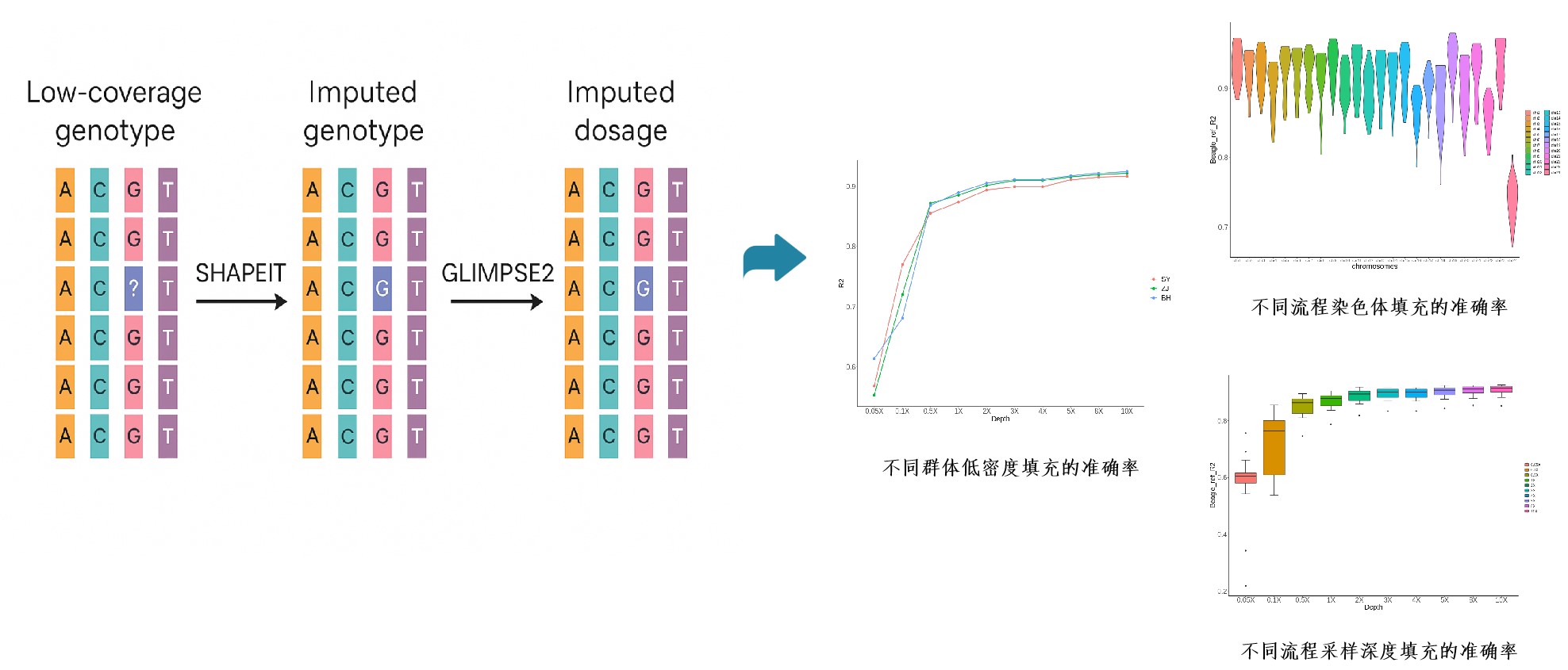 数据库填补流程