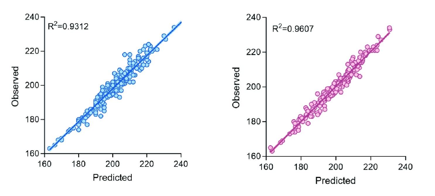 表型识别系统图2